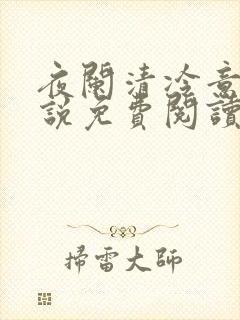 夜阑清冷意欢小说免费阅读