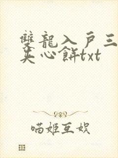 双龙入户三人行夹心饼txt