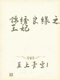 锦绣良缘之北地王妃