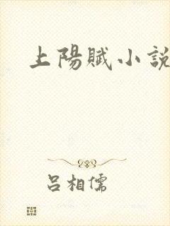 上阳赋小说