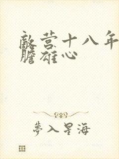 敌营十八年2虎胆雄心封面