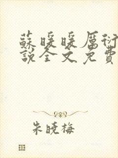 苏暖暖厉衍琛小说全文免费阅读封面