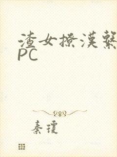 渣女撩汉系统NPC封面