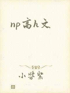 np高h文封面