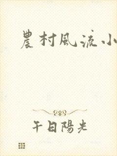 农村风流小说封面
