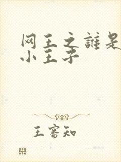 网王之谁是我的小王子封面