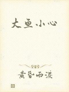 大鱼小心封面