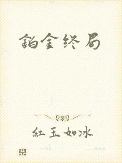 铂金终局