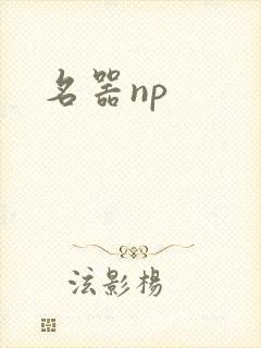 名器np