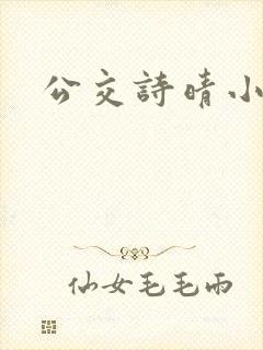 公交诗晴小说封面