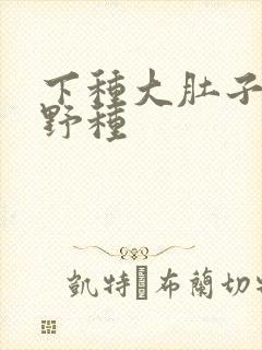 下种大肚子怀孕野种