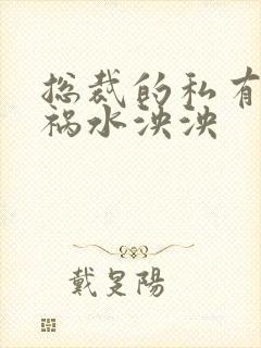 总裁的私有宝贝祸水泱泱