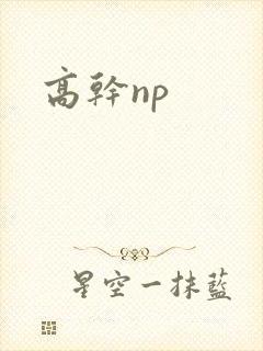 高干np