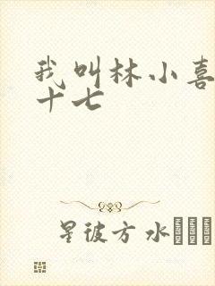 我叫林小喜今年十七