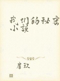 我们的秘密泰剧小说