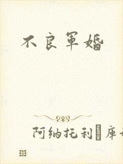 不良军婚封面