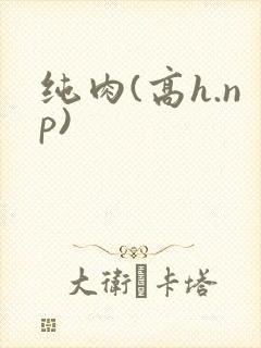 纯肉(高h.np)