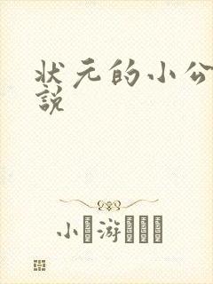 状元的小公主小说