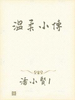 温柔小传