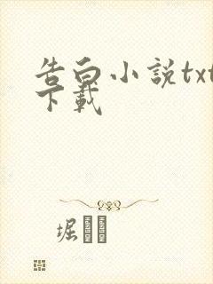 告白小说txt下载