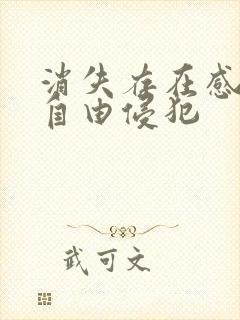 消失存在感消失自由侵犯封面