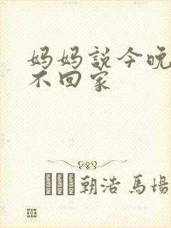 妈妈说今晚爸爸不回家封面