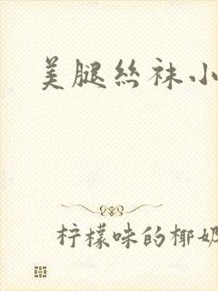 美腿丝袜小说封面