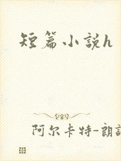短篇小说h