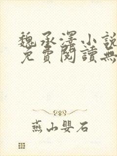 魏承泽小说全文免费阅读无弹窗笔趣