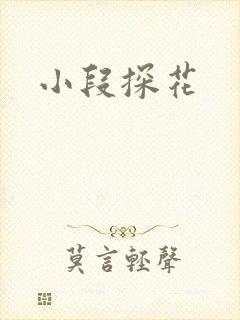 小段探花封面