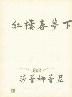 红楼春梦下载
