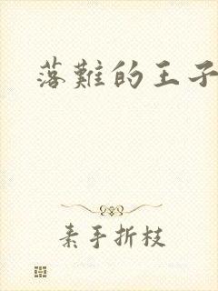 落难的王子