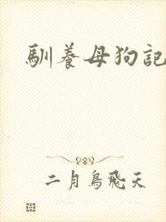 驯养母狗记封面