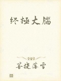 终极大脑