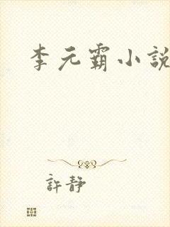 李元霸小说封面