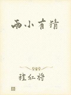 两小有猜封面