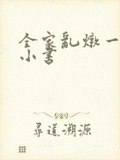 全家乱炖一锅烩小书