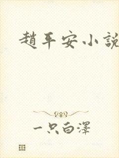 赵平安小说主角封面