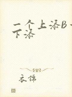 一个上添B一个下添