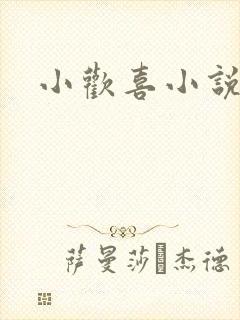 小欢喜小说