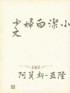 少妇白洁小说全文