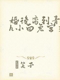 婚后脔到青梅哭h小白兔宫交h