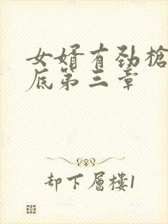 女婿有劲枪枪到底第三章