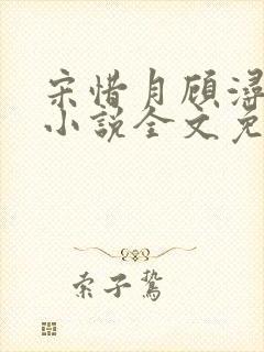 宋惜月顾浔渊的小说全文免费阅读