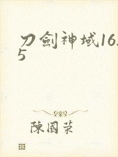 刀剑神域16.5封面