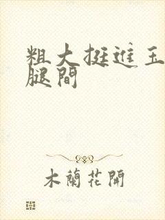 粗大挺进玉芬双腿间