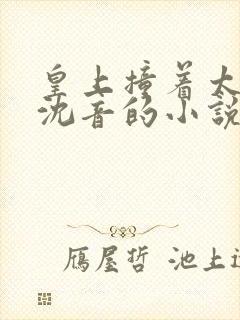 皇上撞着太子妃沈音的小说叫什么