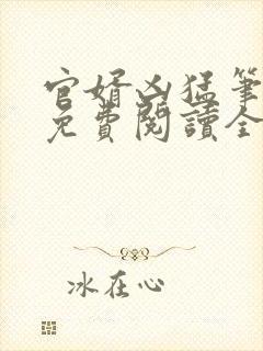 官婿凶猛笔趣阁免费阅读全文封面