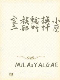 家族轮换小说第二部叫什么名字封面