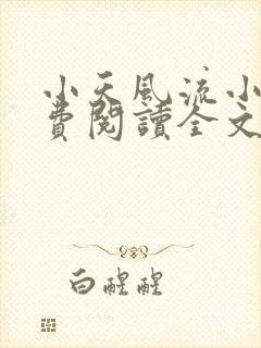小天风流小说免费阅读全文最新章节封面